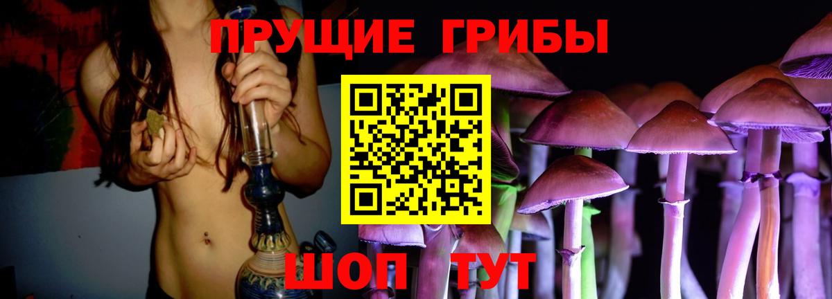 Псилоцибиновые грибы Psilocybine cubensis  Псилоцибиновые грибы MAGIC MUSHROOMS  Вязники  Вход с VPN 